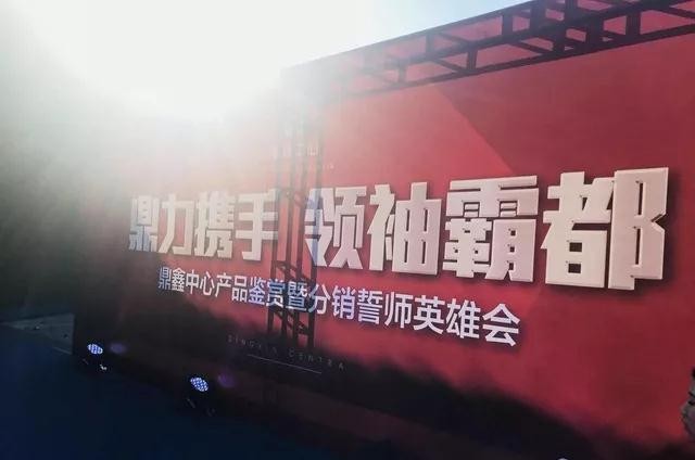 鼎力攜手，領袖霸都！合肥鼎鑫中心產品鑒賞暨分銷誓師英雄會圓滿落幕！