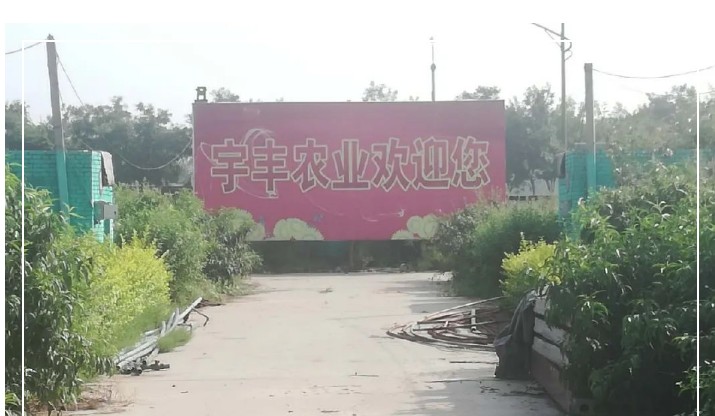 建一個市場、興一方產業、富一方百姓，孝義農產品大市場產供銷一體化在行動！