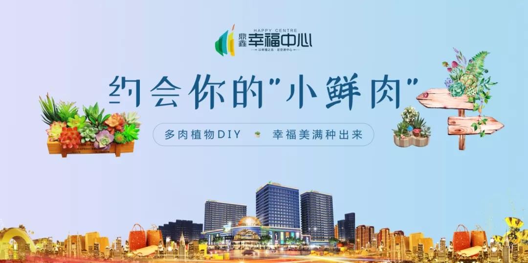 約會你的“小鮮肉” 多肉植物DIY，幸福美滿種出來