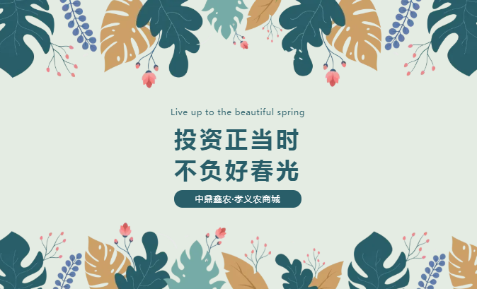 孝義唯一大產權的農批商鋪，投資有保障！